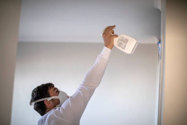 Office Mold Removal Services in Headland, AL